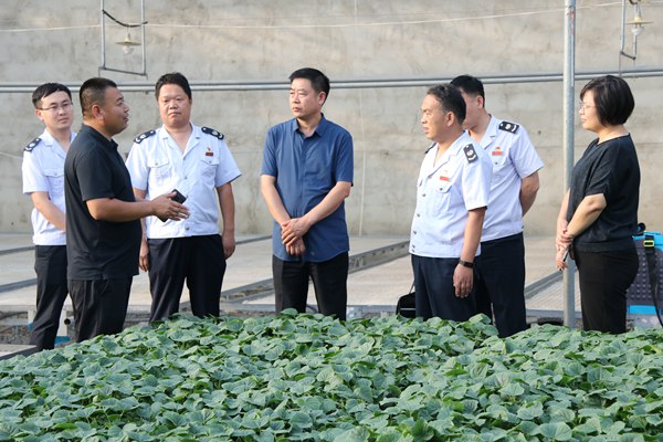 把关口 一张网管控——加强事前防范实地调查 (4)_副本.jpg