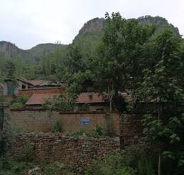 IMG_20190709_145645.jpg